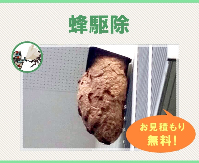 蜂駆除